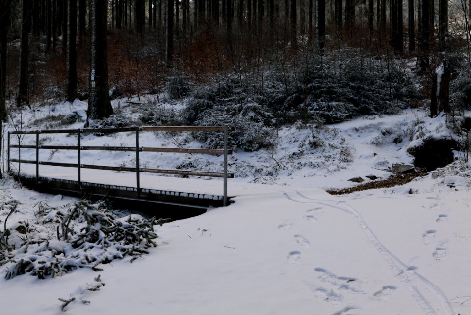 Weilquelle Taunus with snow 2021-04-06 02