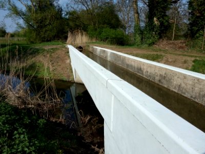 Weingarter Bach, Aquädukt über Neuen Kanal bei Staffort (11)