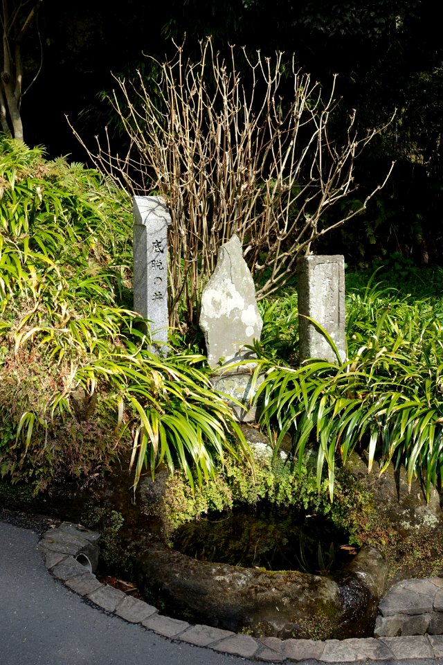 Well - Kaizo-ji - Kamakura, Kanagawa, Japan - DSC08193