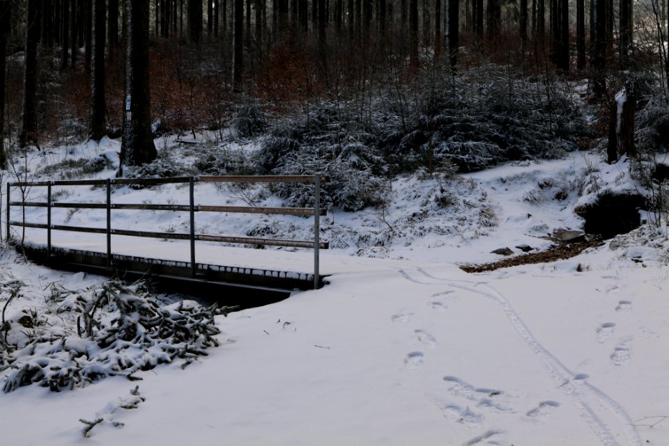 Weilquelle Taunus with snow 2021-04-06 03