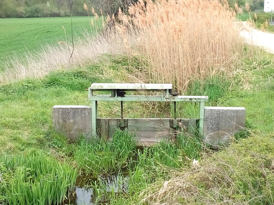 Weingarter Bach, Wehr Staffort