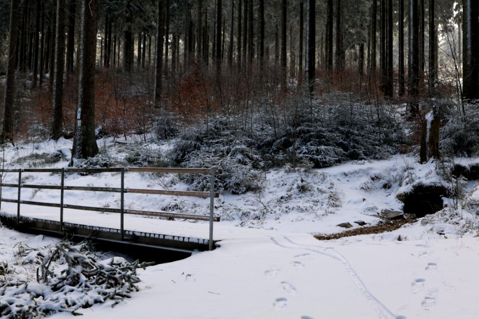 Weilquelle Taunus with snow 2021-04-06 01