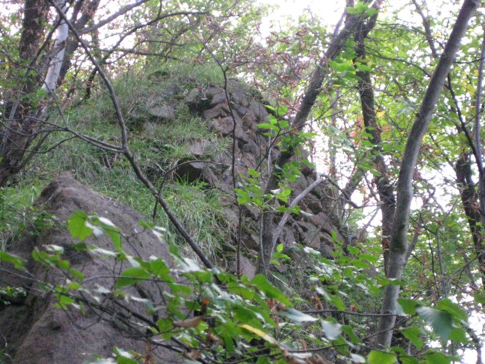 Weineck 4