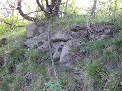 Weineck 1
