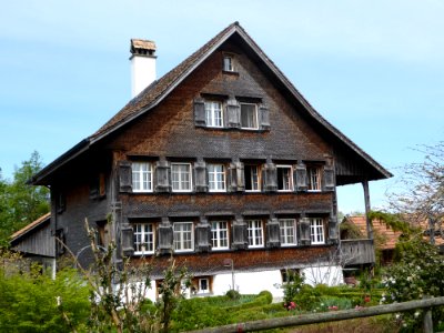 Welfensberg Linde photo