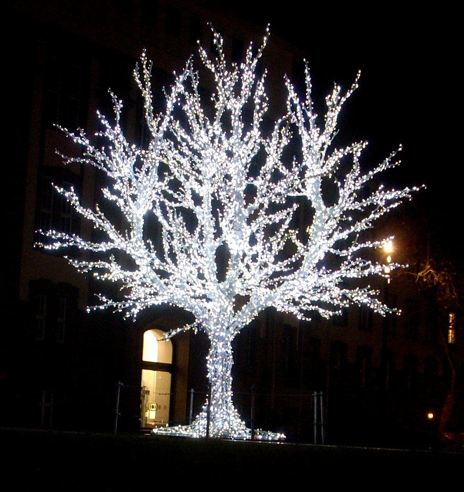 Weihnachtsmarkt Duisburg 2011 (9)