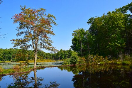 Water morning summer photo