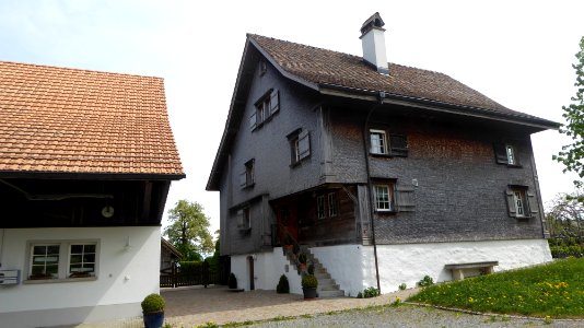 Welfensberg Linde hinten