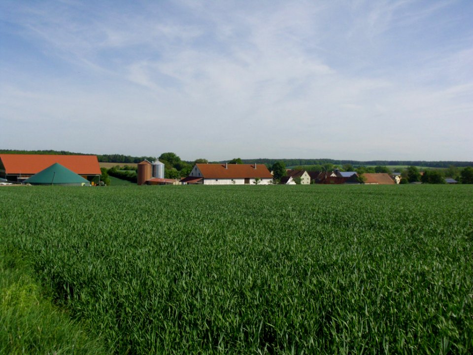 Weilerau 2012-05-11 (8)