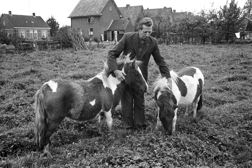 Weilanden, politici, pony's, Koekoek, Boer, Bestanddeelnr 919-6015