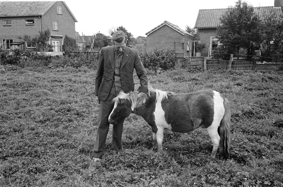 Weilanden, politici, pony's, Koekoek, Boer, Bestanddeelnr 919-6017