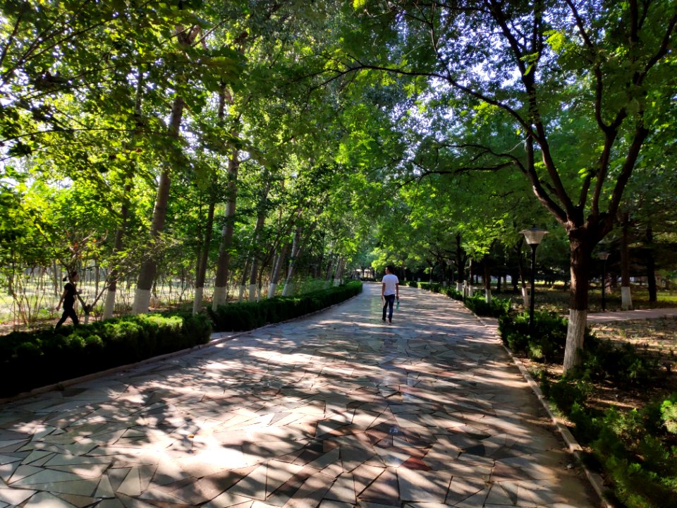 Weifang University 01