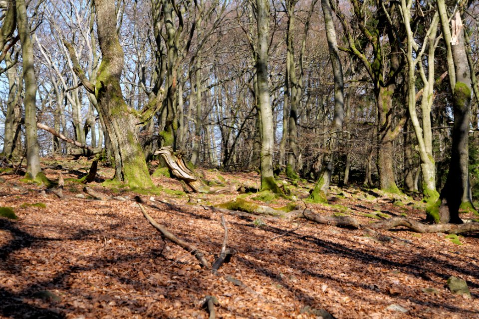 Weiße Mauer Taunus 2020-03-25 04