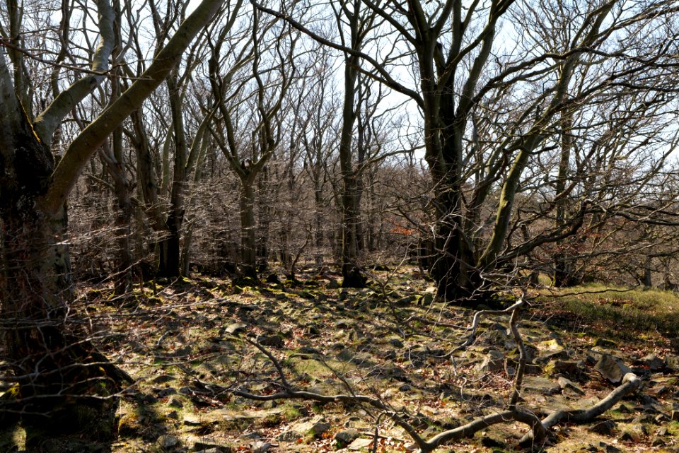 Weiße Mauer Taunus 2020-03-25 12