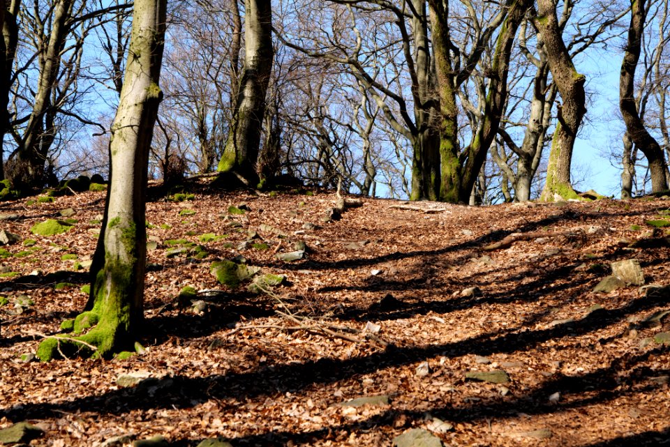 Weiße Mauer Taunus 2020-03-25 02