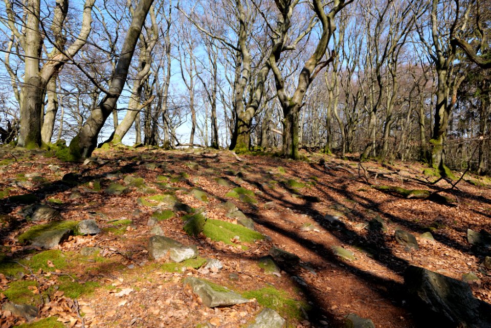 Weiße Mauer Taunus 2020-03-25 07
