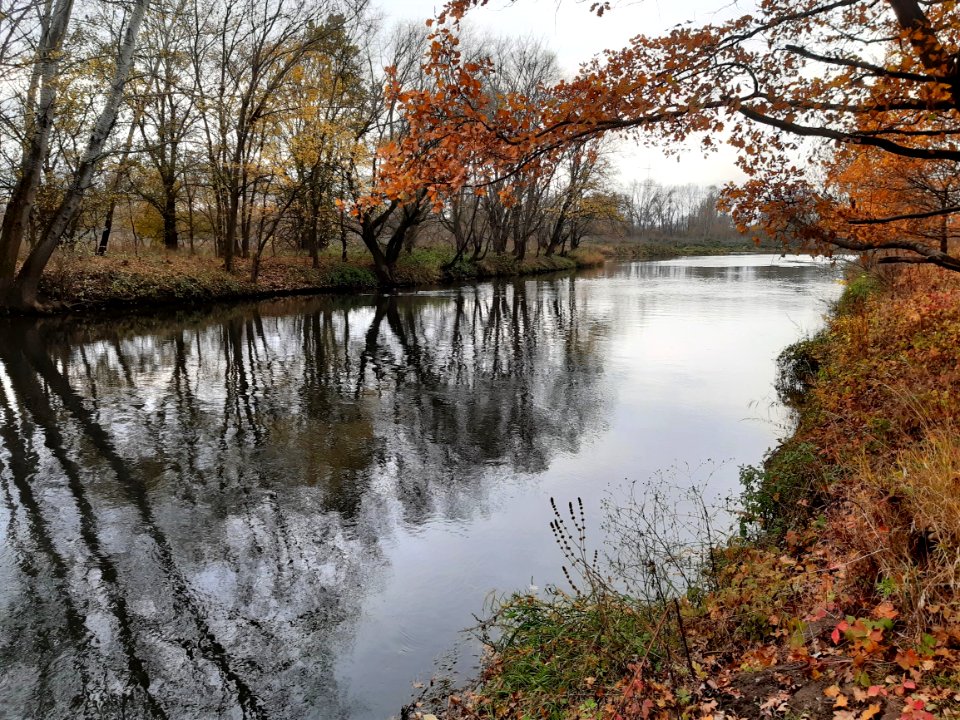 WeißeElster HAL-Silberhöhe