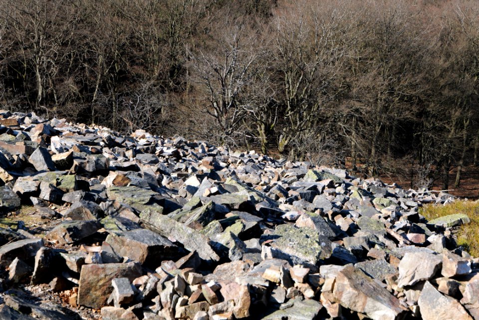 Weiße Mauer Taunus 2020-03-25 24