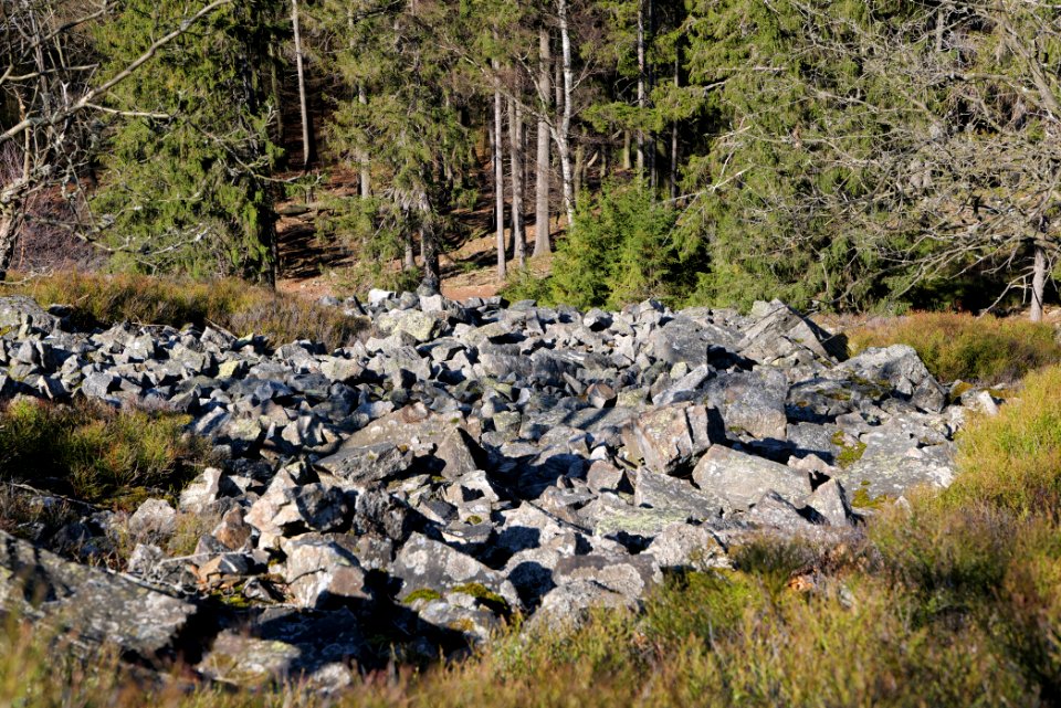 Weiße Mauer Taunus 2020-03-25 20
