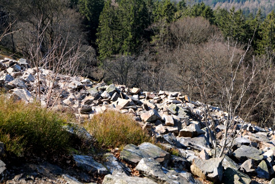 Weiße Mauer Taunus 2020-03-25 28