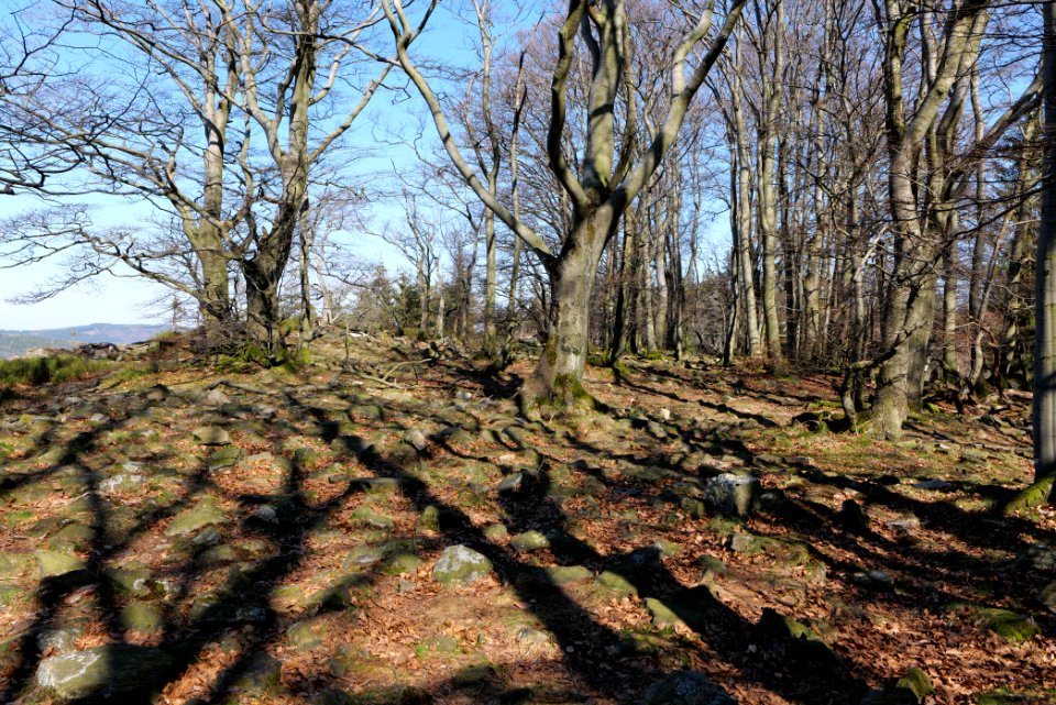Weiße Mauer Taunus 2020-03-25 11