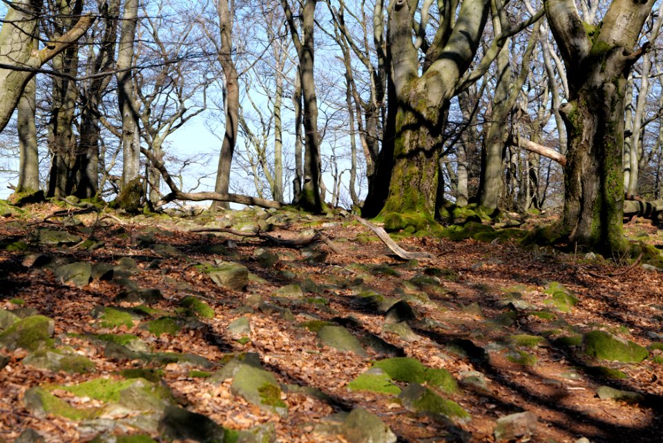 Weiße Mauer Taunus 2020-03-25 08