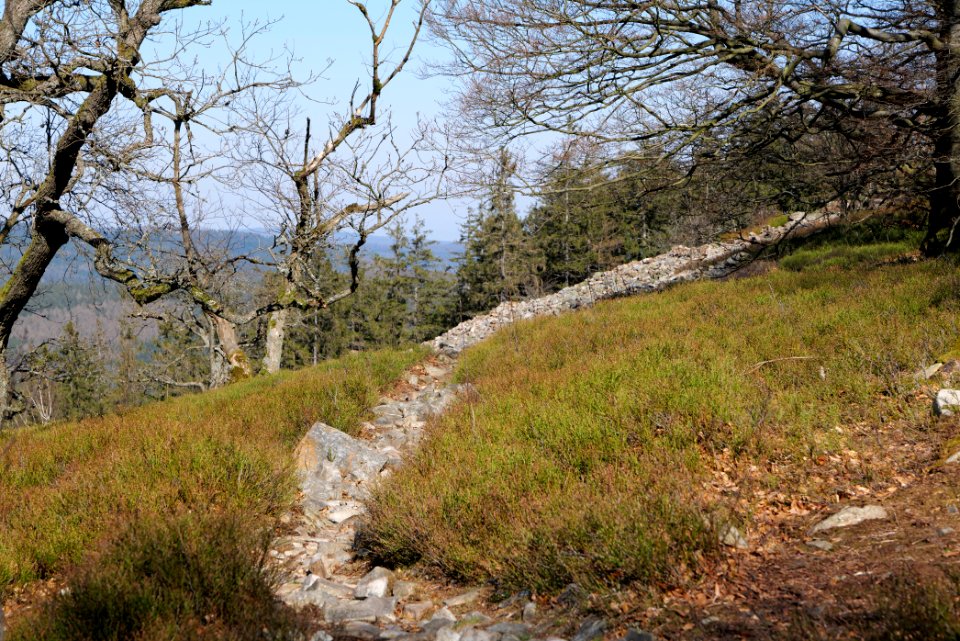 Weiße Mauer Taunus 2020-03-25 44