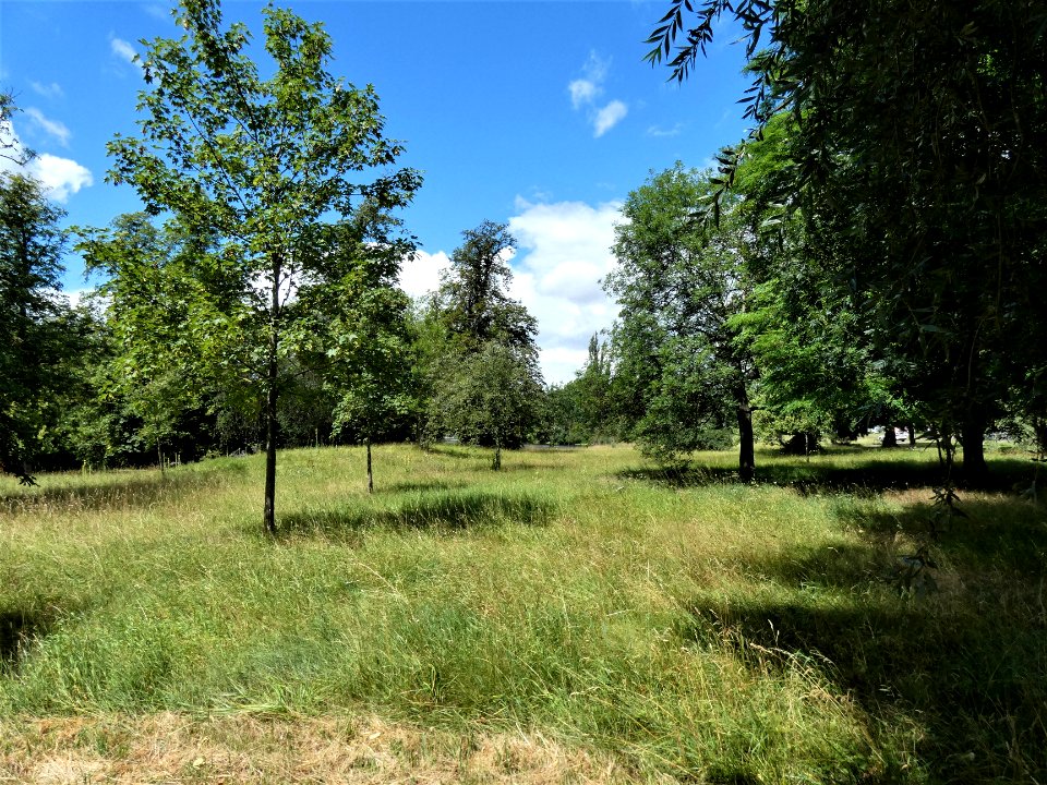 Weißenfels Park an der Saale 1