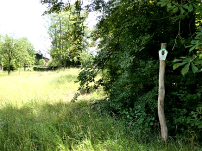 Weißenfels Park an der Saale 3