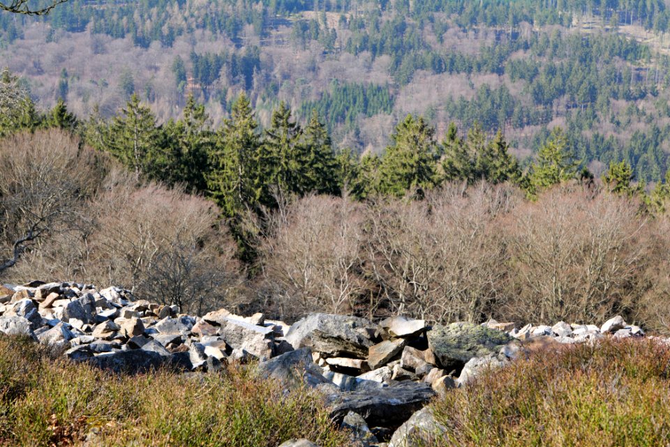 Weiße Mauer Taunus 2020-03-25 33