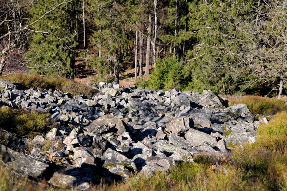 Weiße Mauer Taunus 2020-03-25 21