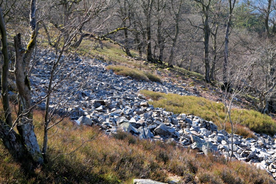 Weiße Mauer Taunus 2020-03-25 14