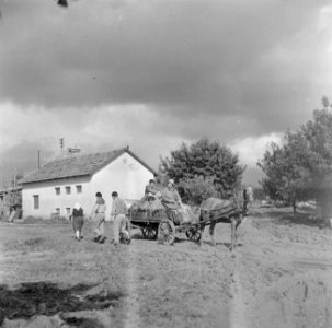 Werkploegen met paard en wagen op weg naar het land, Bestanddeelnr 255-0647 photo