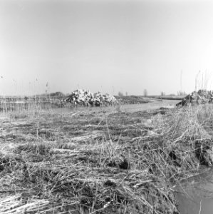 Werkzaamheden, overzichten, keien, riet, Bestanddeelnr 253-7691