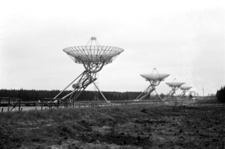 Werkzaamheden aan elf radiotelescopen in de bossen van Hooghalen in Drenthe, Bestanddeelnr 921-1760