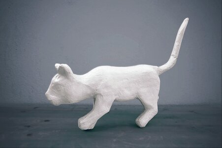 Blue background white cat color
