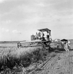 Werktuigen, landbouwmachines, arbeiders, Bestanddeelnr 250-8333