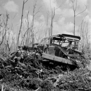 Werktuigen, landbouwmachines, arbeiders, Bestanddeelnr 250-8318