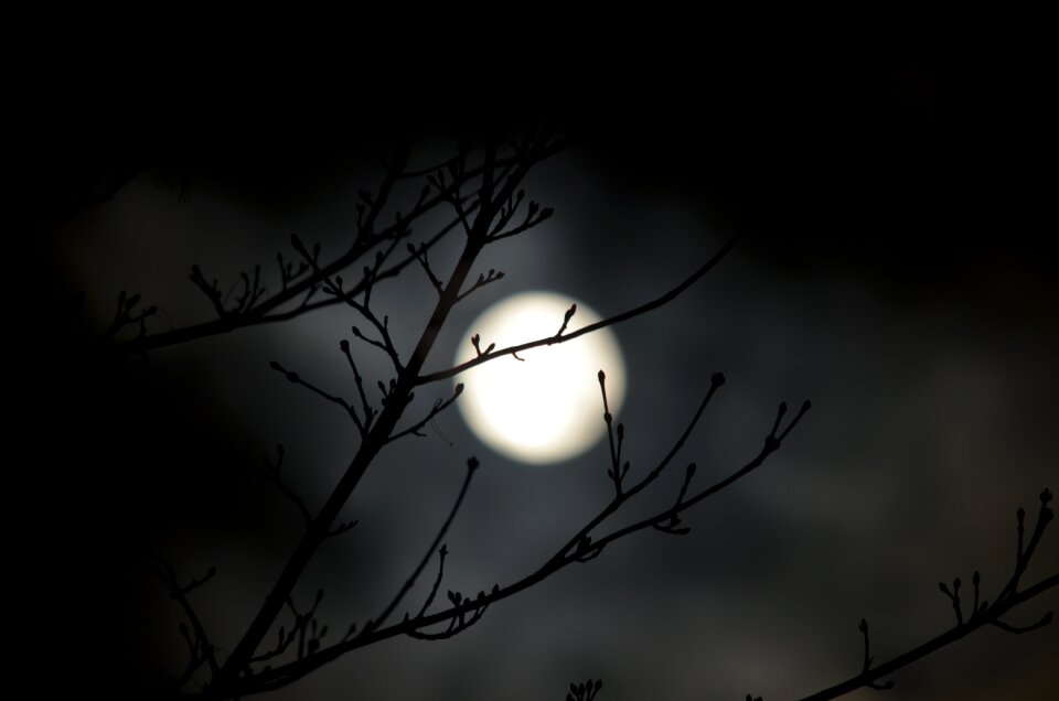 Light illuminated shadow