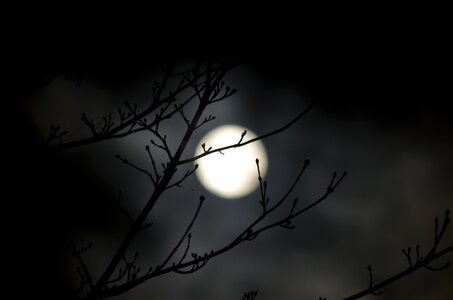 Light illuminated shadow photo