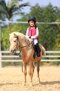 Child equestrian pony horse photo