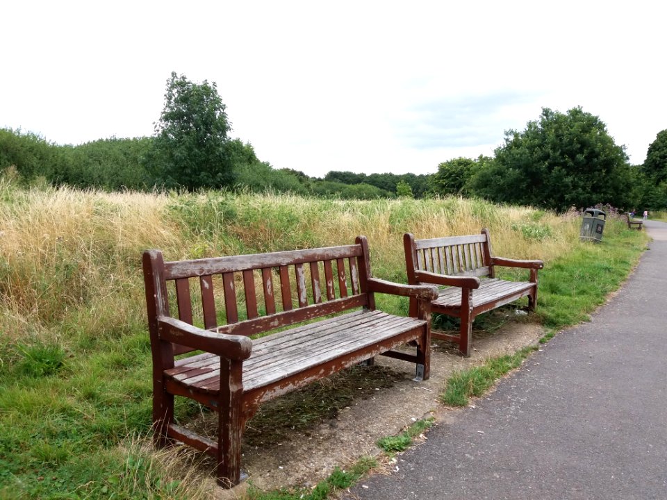 Welsh Harp - Benches
