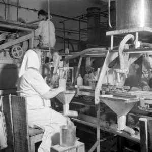 Werknemers van de citrussapfabriek Assis aan de weg van Tel Aviv naar Haifa bezi, Bestanddeelnr 255-1260