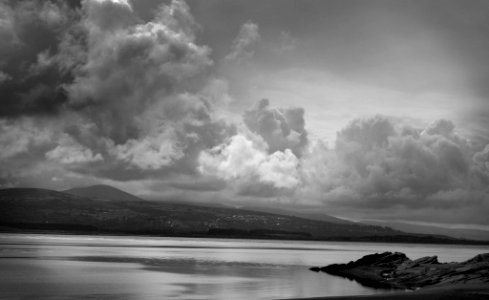 Welsh Estury (181842619)