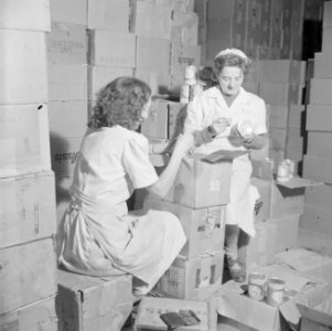 Werkneemsters van de citrussapfabriek Assis aan de weg van Telaviv naar Haifa be, Bestanddeelnr 255-1263