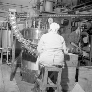 Werkneemster van de citrussapfabriek Assis aan de weg van Telaviv naar Haifa bez, Bestanddeelnr 255-1261