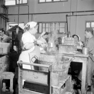 Werknemers van de citrussapfabriek Assis aan de weg van Tel Aviv naar Haifa bezi, Bestanddeelnr 255-1259