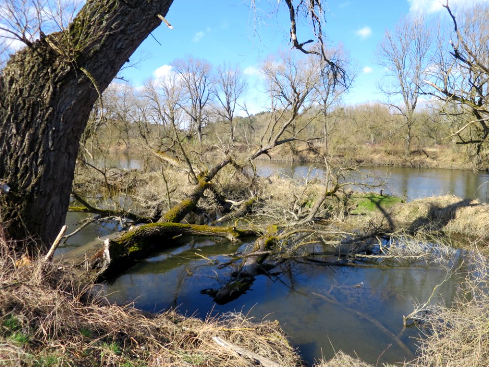 Werkkanal Haag an der Amper 3