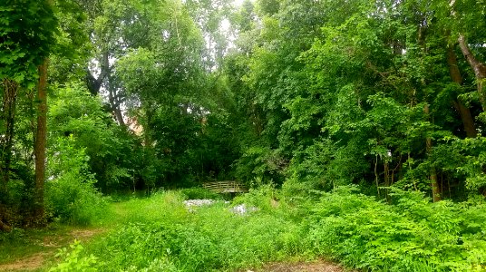 Wellington Park - Arlington, MA - 20200707 083420