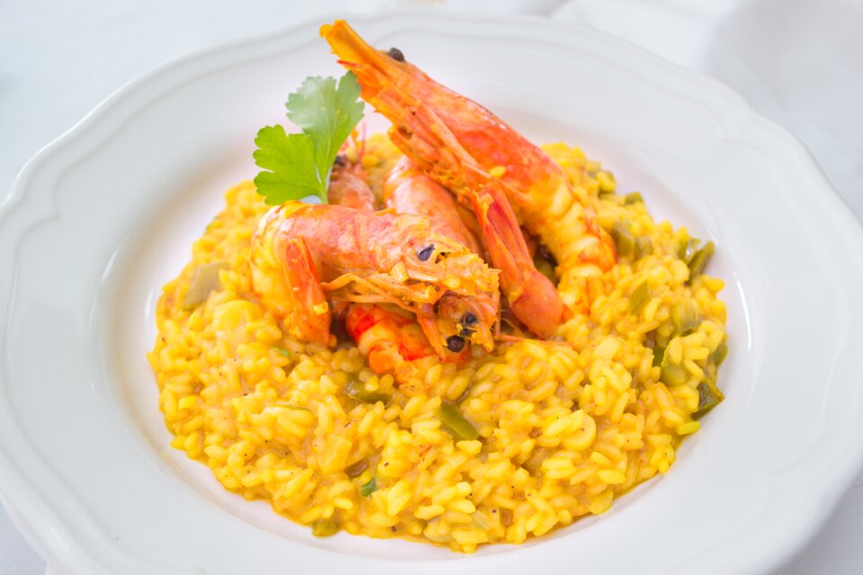 Shrimps prawns sea food
